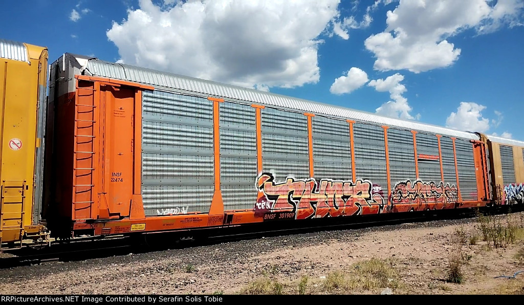 BNSF 22474 BNSF 301909 Con Grafiti 